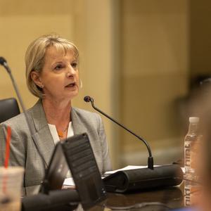 Denise Crosswhite Hader, Legislative Service Bureau